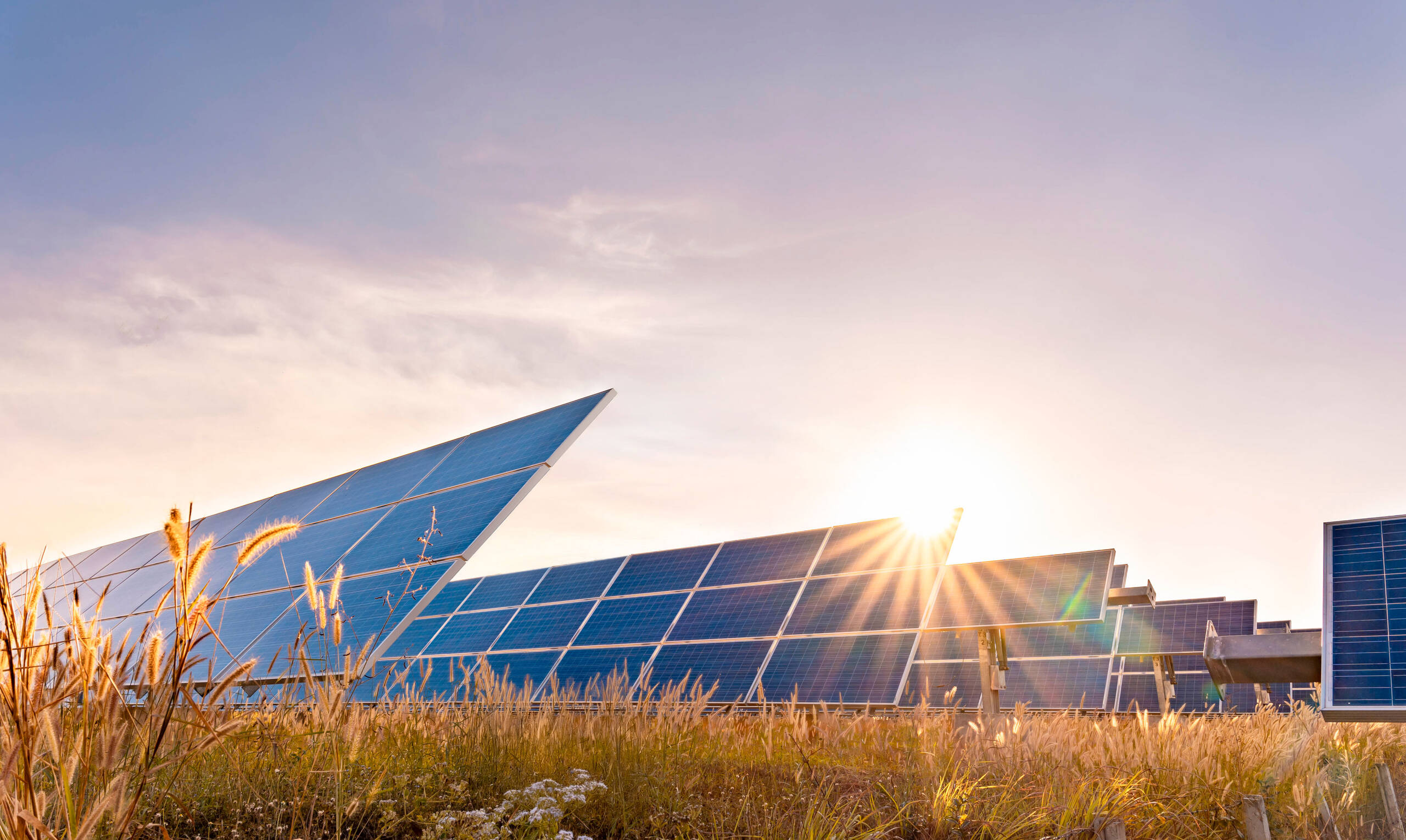 PV Elemente auf einem Feld mit blauem Himmel und Sonne